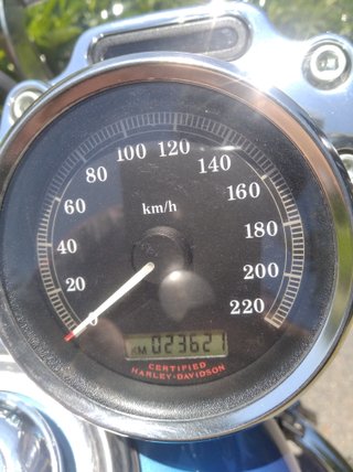 Harley-Davidson Azul Plata Custom