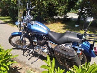 Harley-Davidson Azul Plata Custom