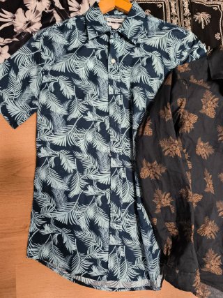 Lote 6 Camisas Hawaianas
