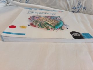 Matemàtiques aplicades a les Ciències Socials, ...