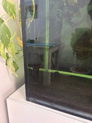 Acuario completo de 150l con mueble