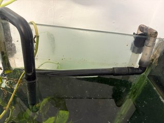 Acuario completo de 150l con mueble