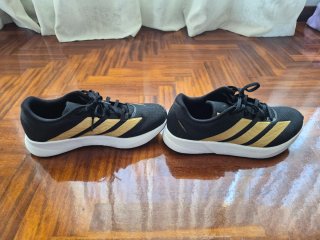 Zapatillas Adidas Duramo RC2 Negro/Dorado