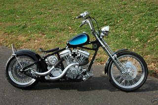 Guardabarros Delantero H-D Springer