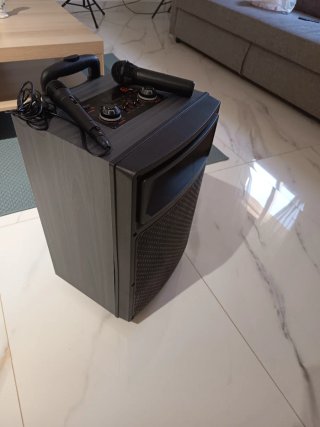Altavoz Karaoke con Ruedas y Micrófonos