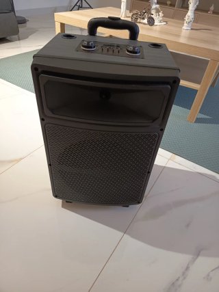 Altavoz Karaoke con Ruedas y Micrófonos
