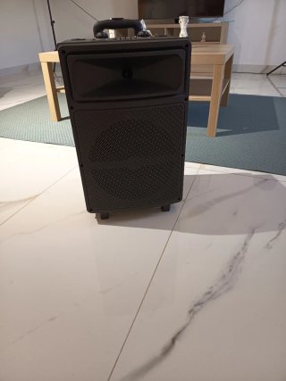 Altavoz Karaoke con Ruedas y Micrófonos