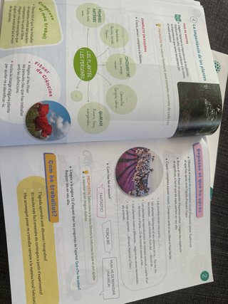CONEIXEMENT DEL MEDI 3 PRIMARIA CONSTRUINT MONS