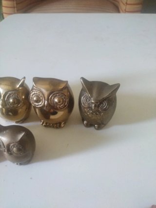 Set di 7 figure di gufi in ottone