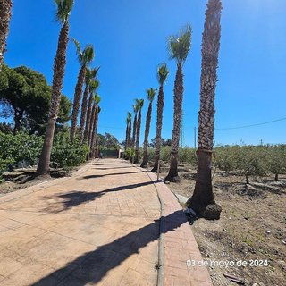 Casa rural en venta en Nord en Sant Carles de la Ràpita