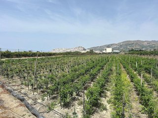 Terreno en venta en Centro en Salobreña