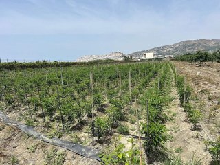 Terreno en venta en Centro en Salobreña