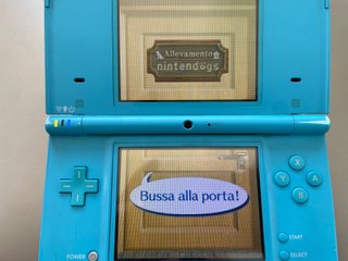 Nintendogs Dalmata e Amici Nintendo Ds Ntr-Ad7P-Ei