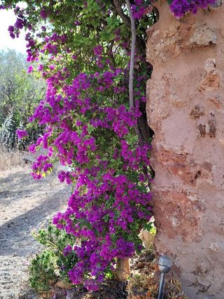 Casa rural en alquiler en Campos