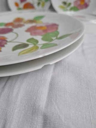 Platos Porcelana Georges Boyer Limoges Flores