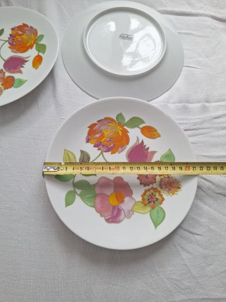 Platos Porcelana Georges Boyer Limoges Flores