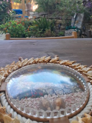 Timone decorativo conchiglie e corda