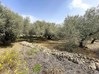 Terreno en venta en Nord en Sant Carles de la Ràpita