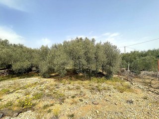 Terreno en venta en Nord en Sant Carles de la Ràpita