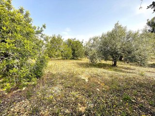Terreno en venta en Nord en Sant Carles de la Ràpita