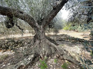 Terreno en venta en Nord en Sant Carles de la Ràpita