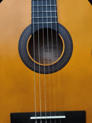 guitarra con funda y accesorios, para niños