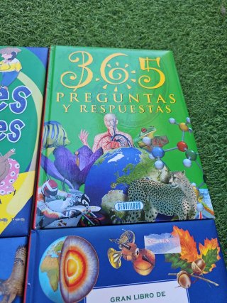 Lote de libros infantiles