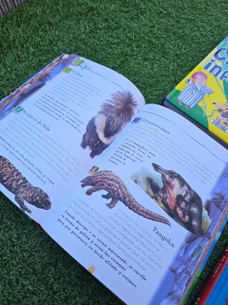 Lote de libros infantiles