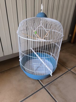 Jaula para pájaros nueva 35 diámetro y 45 alto