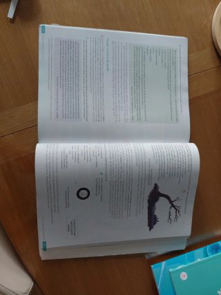 Lengua castellana y Literatura Revuela : 4 Secu...