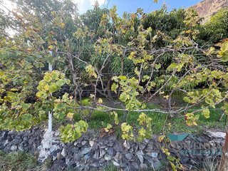 Terreno en venta en El Horno en Mogán