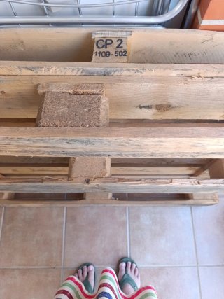 Palets de madera
