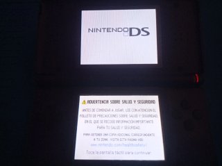 Nintendo DS Morada Personalizada