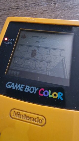 Nintendo Game Boy Color + Donkey Kong Land 2