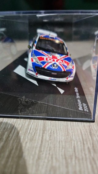 Peugeot 207 Rally 1:43