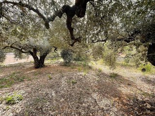 Terreno en venta en Nord en Sant Carles de la Ràpita