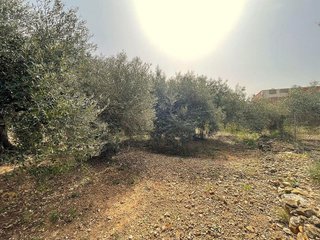 Terreno en venta en Nord en Sant Carles de la Ràpita