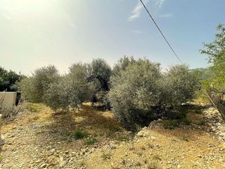 Terreno en venta en Nord en Sant Carles de la Ràpita