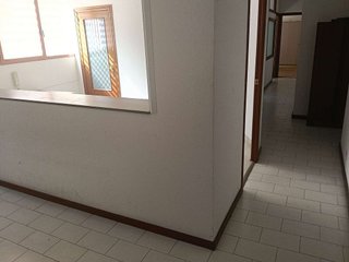 Local comercial en alquiler en Doctor Cerrada en Zaragoza