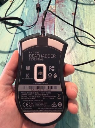 Pack Monitor HP, Ratón Razer y Teclado Tempested
