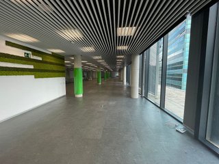 Oficina en alquiler en Bellvitge en Hospitalet de Llobregat, L´