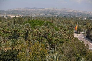 Piso en venta en Carrús Est - Camí dels Magros en Elche