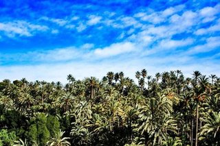 Piso en venta en Carrús Est - Camí dels Magros en Elche