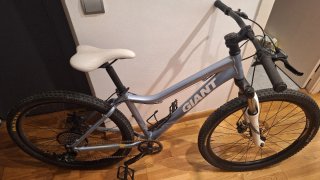 Bicicleta de Montaña Giant Talla S