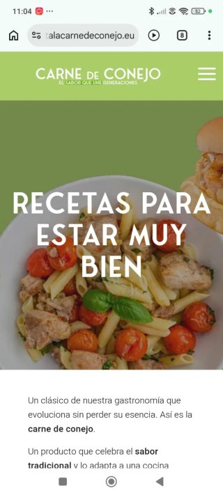 Molde Silicona Air Fryer Cocina Verde