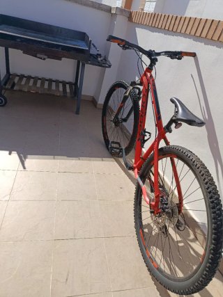 Bicicleta Orbea MX 29