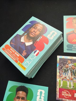 Cromos mundial 2026 panini (150)