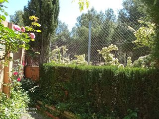 Casa adosada en venta en La Paz en Villena