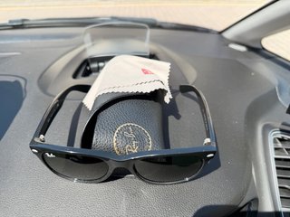 Gafas de sol Ray-Ban negras