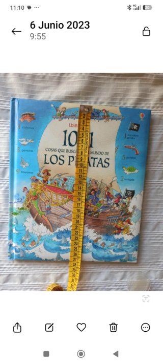 1001 cosas que buscar en el mundo de los piratas